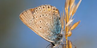 Czy biologia jest trudna?