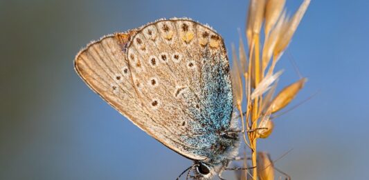 Czy biologia jest trudna?