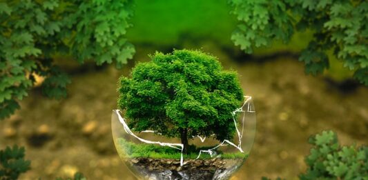 Co odkrywa biologia?