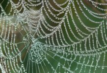 Czym jest sieć komputerowa? Czym jest sieć komputerowa?