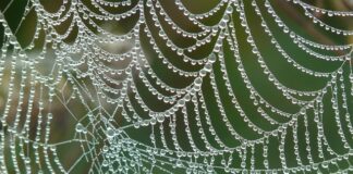 Czym jest sieć komputerowa?