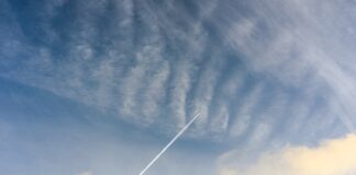 Na co można iść po Biol-Chem?