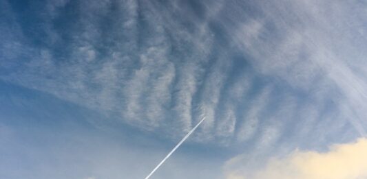 Na co można iść po Biol-Chem?