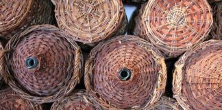 Gdzie najlepiej przechowywać zdjęcia w telefonie?