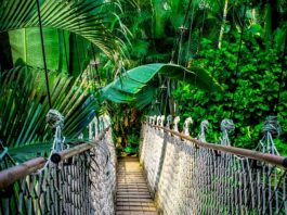 Ile kosztuje kurs Cybersecurity?