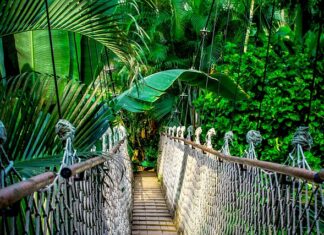 Czy warto iść na kurs programowania?