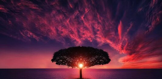 Czy warto korzystać z chmury?